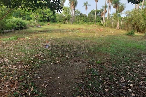 Terreno en venta, ciudad de Itauguá — foto 2