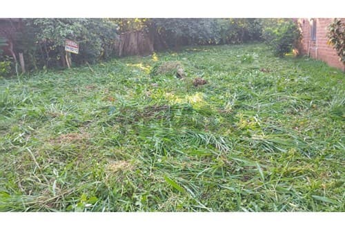 En venta terreno económico - Encarnación — foto 3