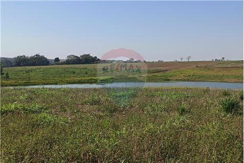 Propiedad agricola de 47 has. En Hohenau! — foto 5
