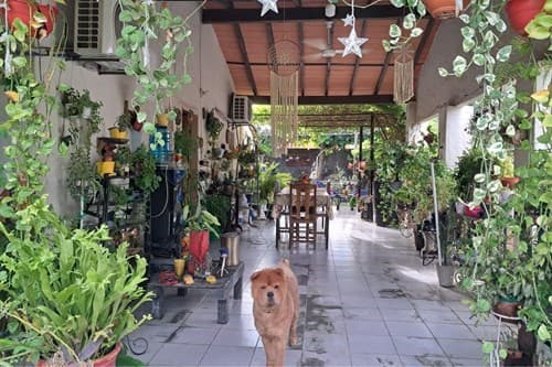 Casa en Mariano Roque Alonso — foto 5