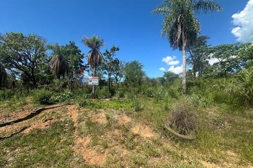 Terreno sobre ruta altos loma grande 1200 m2 — foto 3