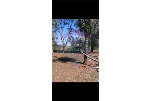 Terreno en aregua-jukyty, foto 4