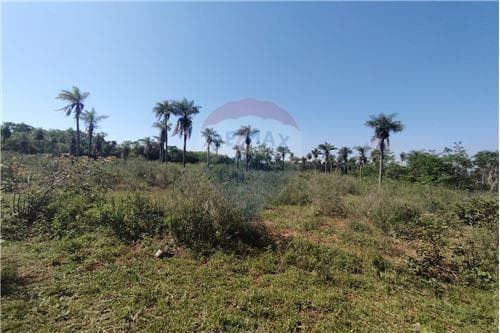 En venta 3,7 hectareas en nva colombia cordillera, foto 5