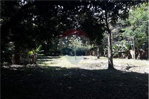 Amplio lote de calle a calle frente a ruta 1 — foto 3