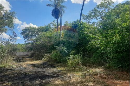 Terreno en la ciudad de limpio barrio isla aveiro — foto 2