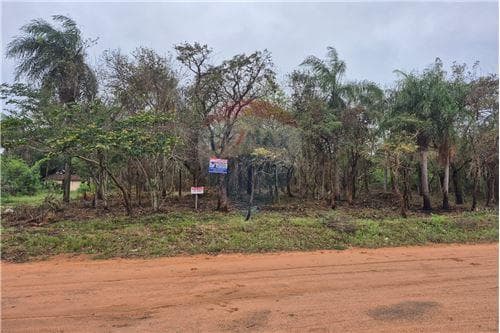 Terreno en Ypacarai — foto 5