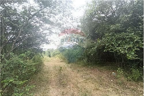 5 ha en caaguazu a orillas del rio tebycuary — foto 5