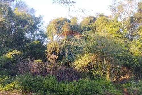 Terreno en esquina - Luque b° itapuami III — foto 5