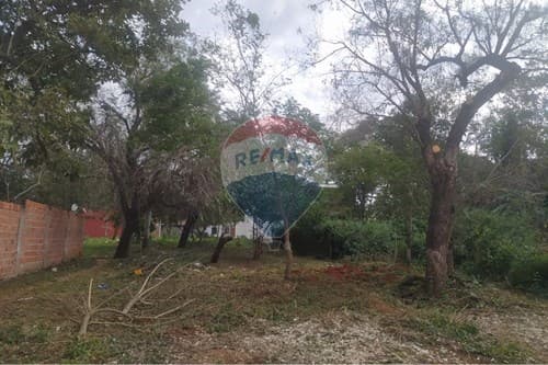 ¡Venta Terreno en Loma Merlo, Luque! — foto principal