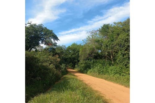 Terreno - venta - Caacupé – para loteamiento — foto 3