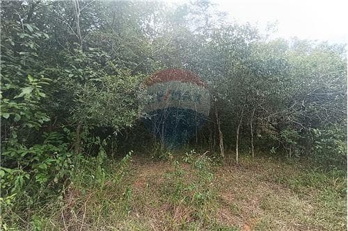 5 ha en caaguazu a orillas del rio tebycuary — foto 2