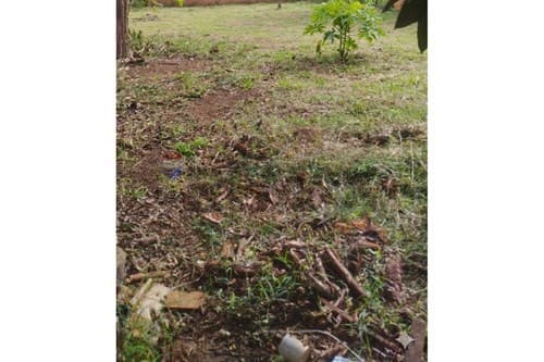 Terreno en oferta km 10 acaray — foto 2