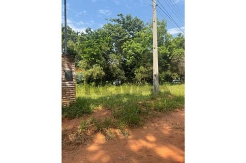 Terreno en Luque Cañada san Rafael — foto 2