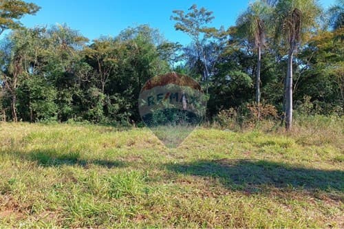 3500 m2 en J. A. Saldívar dpto Central — foto 4
