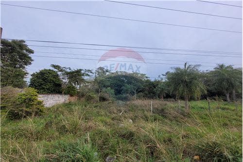 El terreno qie estabas buscando — foto 4