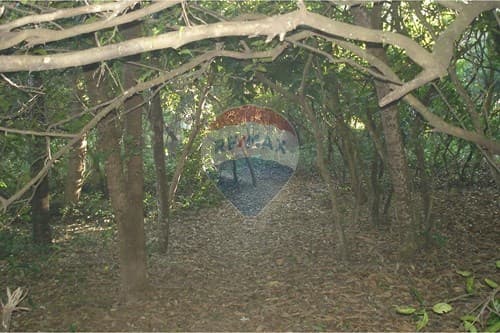 de Amplio Terreno en Eusebio Ayala — foto 3