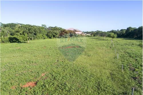 En venta – terreno de 3 hectáreas en Luque — foto 4