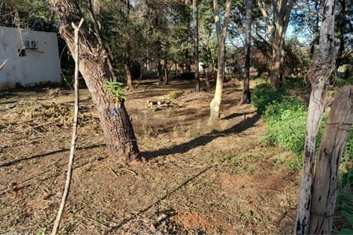 Terreno 12 x31 cañada garay — foto 3