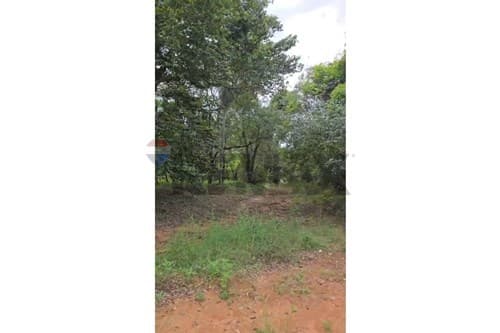TERRENO EN VENTA- San Bernardino — foto 4