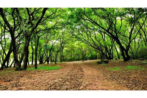 Terreno Ideal en Ypacaraí Invierte en tu Futuro, foto 5