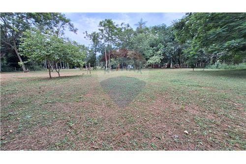 Amplio terreno en venta en dist. De eusebio ayala — foto 2
