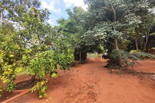 Terreno ideal para quinta o granja — foto 5