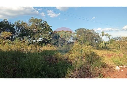 En venta terreno en toledo cañada — foto 4