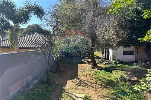 ✨vendo terreno de 600 m² a 3 cuadras de la av. Perón, zona itá enramada, límite con Lambaré✨, foto 3