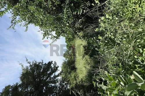 Terreno en Filadelfia, foto 4
