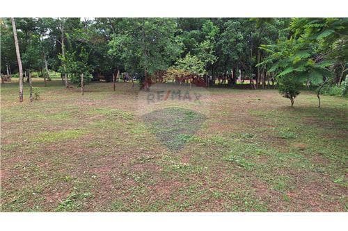 Amplio terreno en venta en dist. De eusebio ayala — foto principal