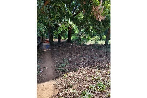 Terreno Ideal en Capiatá: Tu Sueño a Un Paso — foto 5