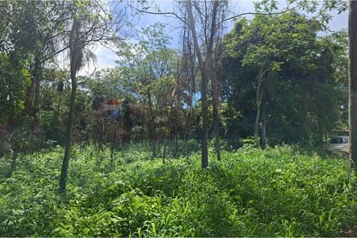 Terreno en San Bernardino Zona Anfi — foto 4