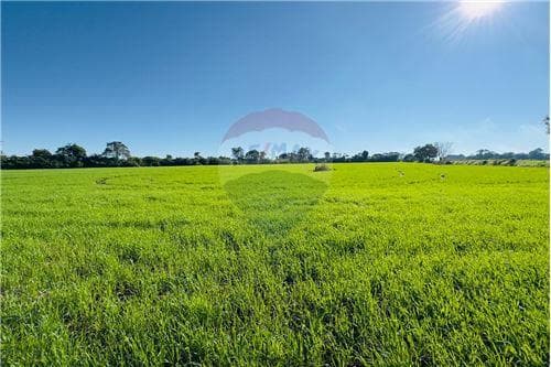 Terreno en venta - compañía san blas independencia — foto 2