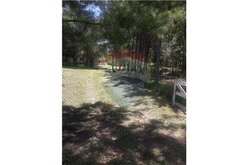 Estancia Ganadera en Trinidad Itapua — foto 4