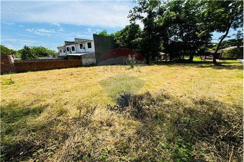 Tres terrenos en venta!!, foto 5