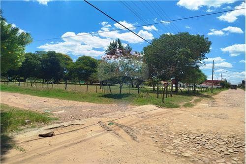 Terreno en limpio — foto 3