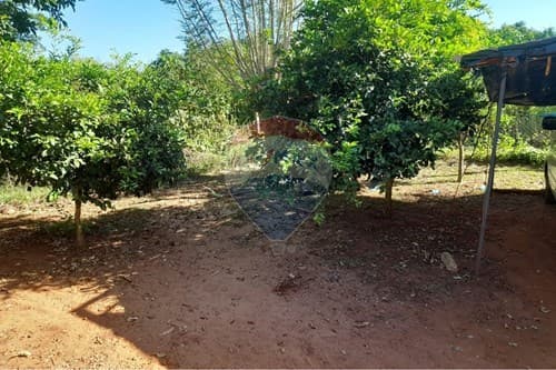 Hogar Acogedor en San Isidro: ¡Descúbrelo Ya! — foto 2