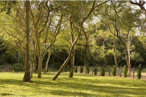 Aregua forest country residence 🪴🌲🌳, foto 5