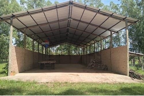 de propiedad rural, reforestaciòn — foto 2
