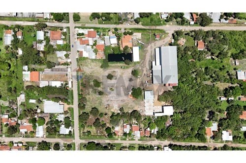 Mas de una hectarea en remansito villa hayes — foto 3