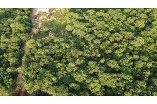 Terreno Comercial de alto Potencial — foto 4