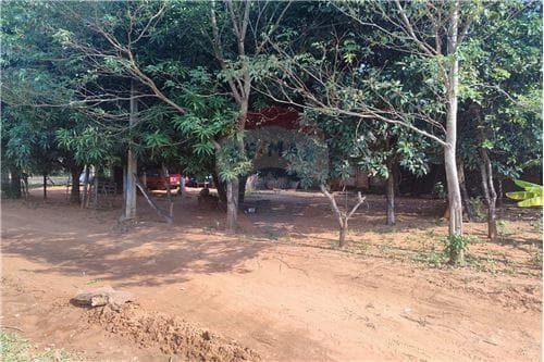 Terreno en esquina con construcion a remodelar — foto 4