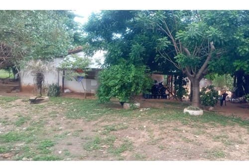 "Terreno Ideal para Inversión en San Pedro, PY", foto 2