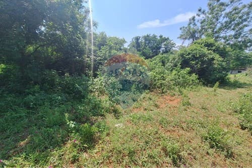 Terreno en aregua-villa rosita — foto 3
