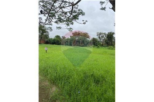 Terreno sobre asfalto — foto 2
