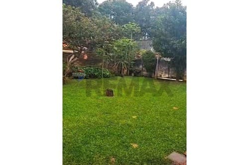 Casa + Terrenos en Luque, foto 2