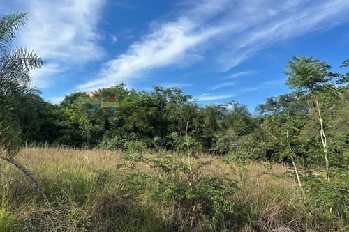 Terreno en venta – San Bernardino, foto 2