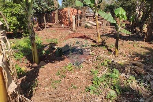 Terreno en km 10 monday titulado — foto 3