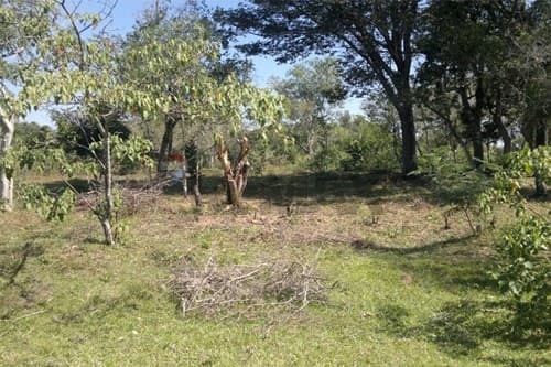Terreno de 1440 m2 con arroyo en itacurubí — foto 2