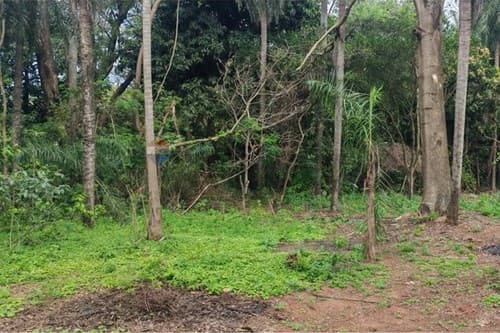 Terreno en venta – cabañas, caacupé, foto 2